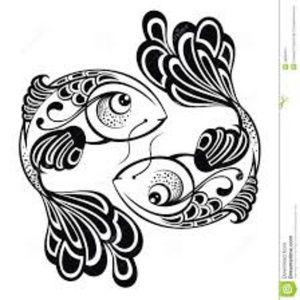 Meet your Posher, Darcy